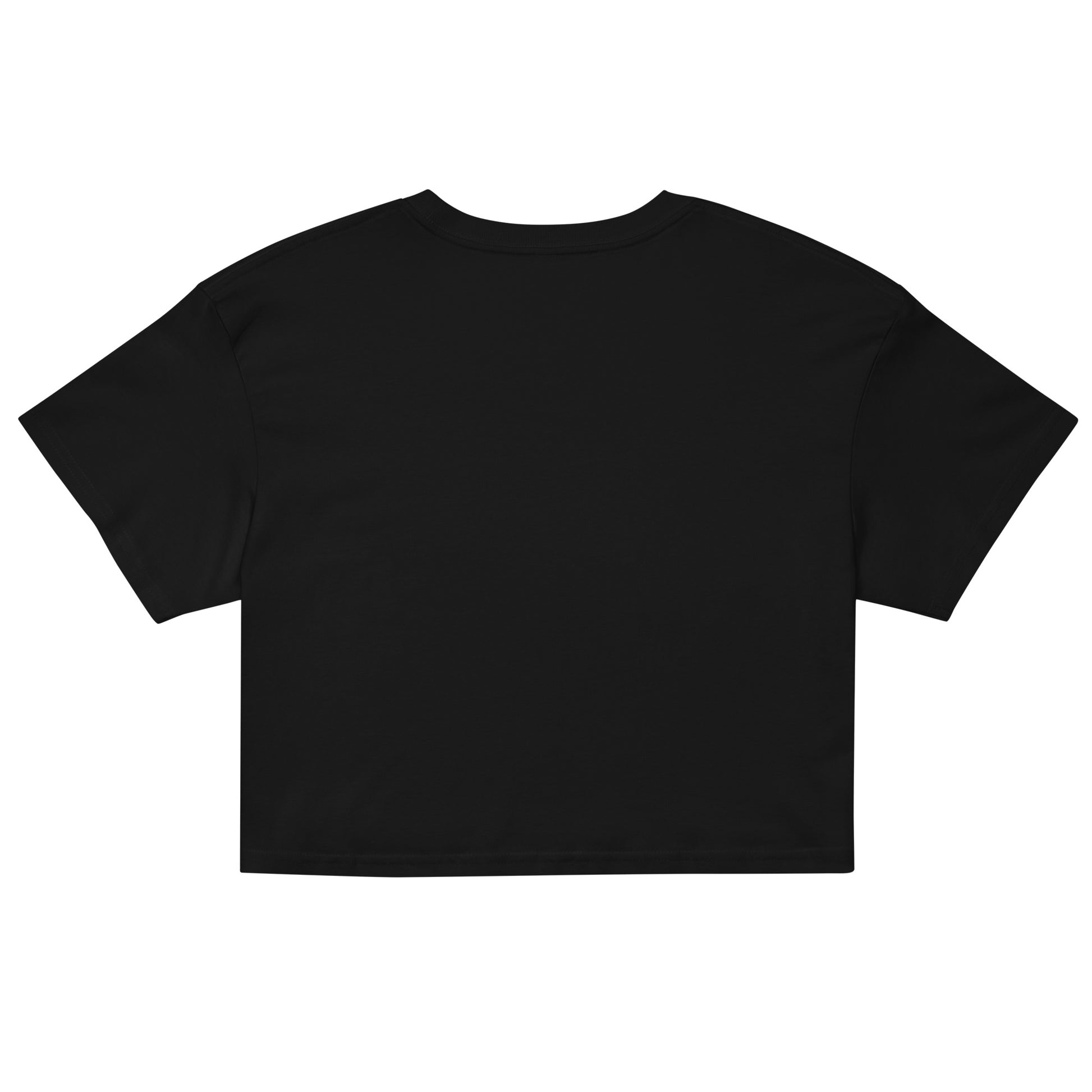 Sticks & Stones Crop Tee - Emo Elder Society